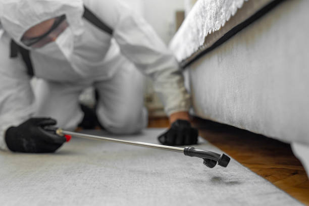 Professional Termite Control technician working in Dayton, KY