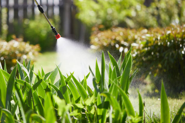 24/7 Emergency Termite Control experts in Dayton, KY